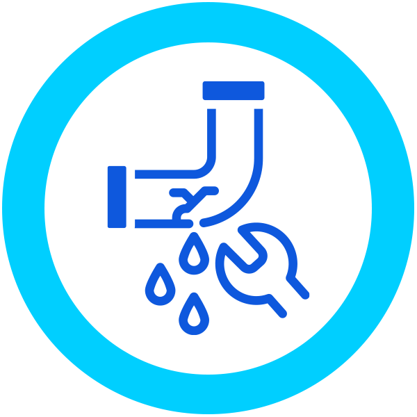 Leak Detection and Repair